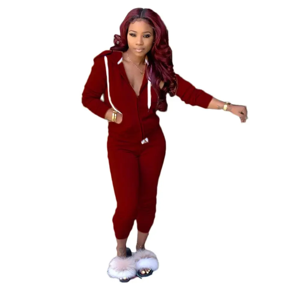 

Lounge wear Drawstring Tracksuit Women Fitness Sporty Long Sleeve Zipper Hoodie Top with Sweater Pants Two Piece Set Clothes