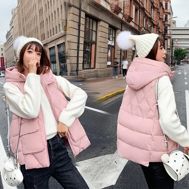 

According to Nalini 19 down Jacket Cotton-padded Clothes Women's Short Thin Loose-Fit BF Students Sleeveless Vest Coat Online Ce
