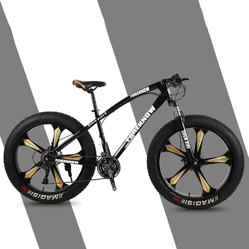 fat bike store