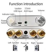 2*100W Bluetooth 5.0 TPA3116D2 Digital Power Audio Amplifier Board TPA3116D2 Stereo HiFi USB Amplificador Home Theater Mini AMP 2