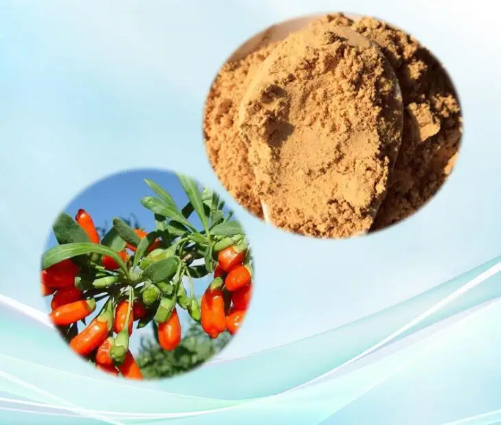 

Goji Berry Extract Super Strength 2000mg 90 pcs Super Fruit Improving immunity