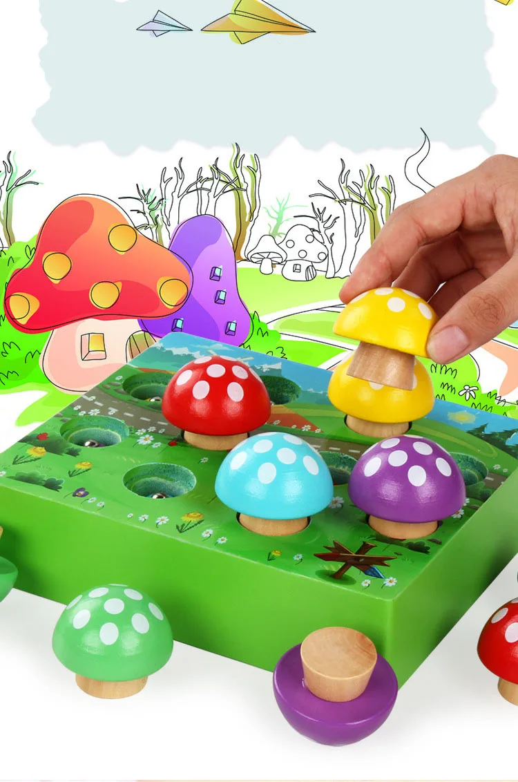 10446311904_731735988