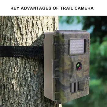

Trail Hunting Camera 12MP 1080P Wild Surveillance TC200 Night Version Wildlifes Scouting Cameras Photo Traps Track Wildcamera