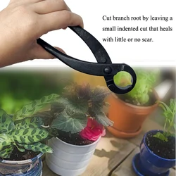 Coupe racine Concave en alliage d'acier au manganèse de qualité professionnelle, 180mm, outils de jardin pour bonsaï, nouveau 