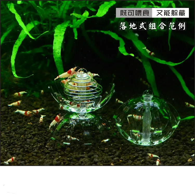 O1CN01ABpMgf1VbolLjgXpq_!!756162672