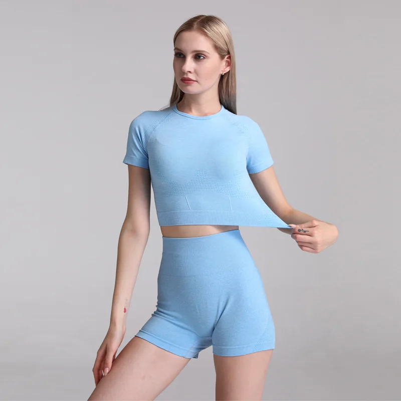 

Women's Seamless Yoga Suit Sportswear Gym Fitness Cloth Goga Short Sleeve Shirt High Waist Running Leggings Fitness Pants Suit