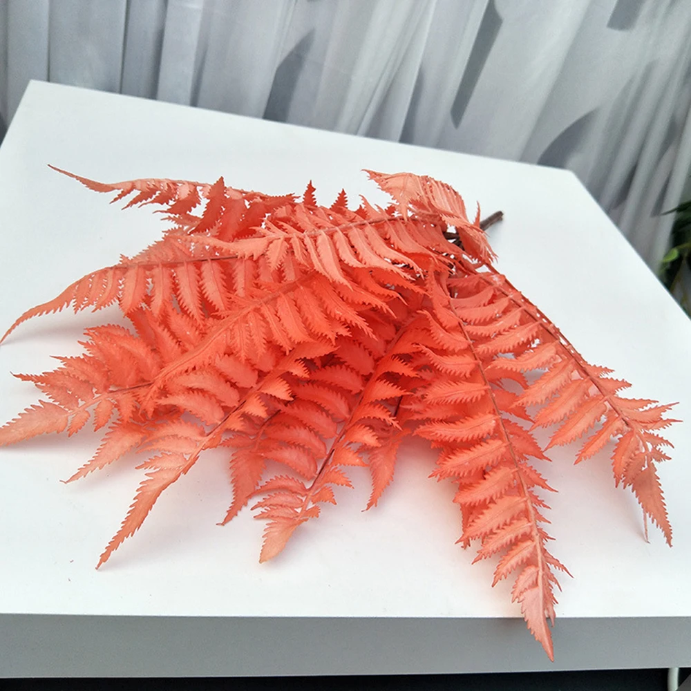 YYPA0058-1-YYPA0058-5-C8