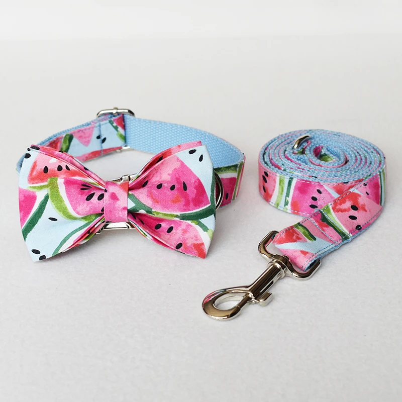 cute dog collar and leash sets