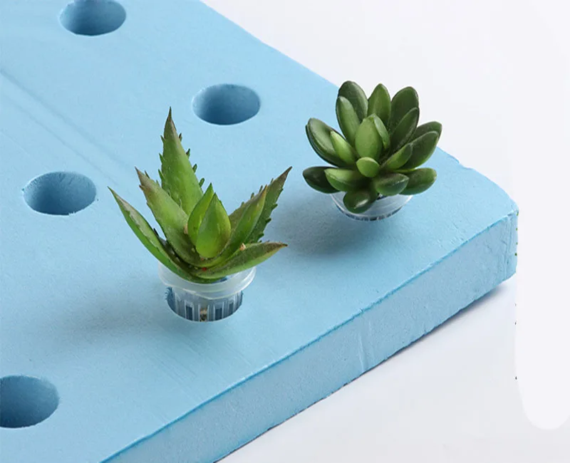 11849248135_456212297