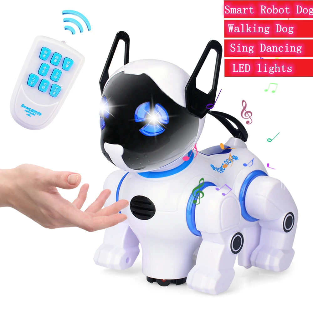 remote control dog toys