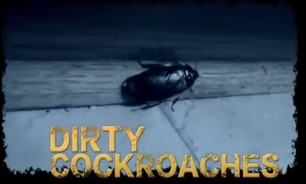 微信截图_20200802110853