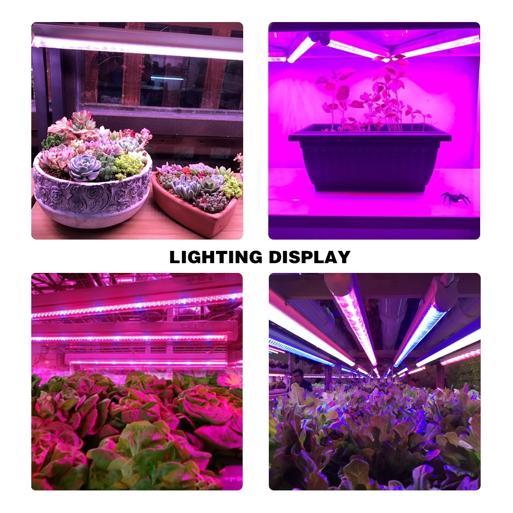 фитолампа LED Grow Light 5730 Fitolampy Growth 50 м трубка для внутреннего роста бар свет