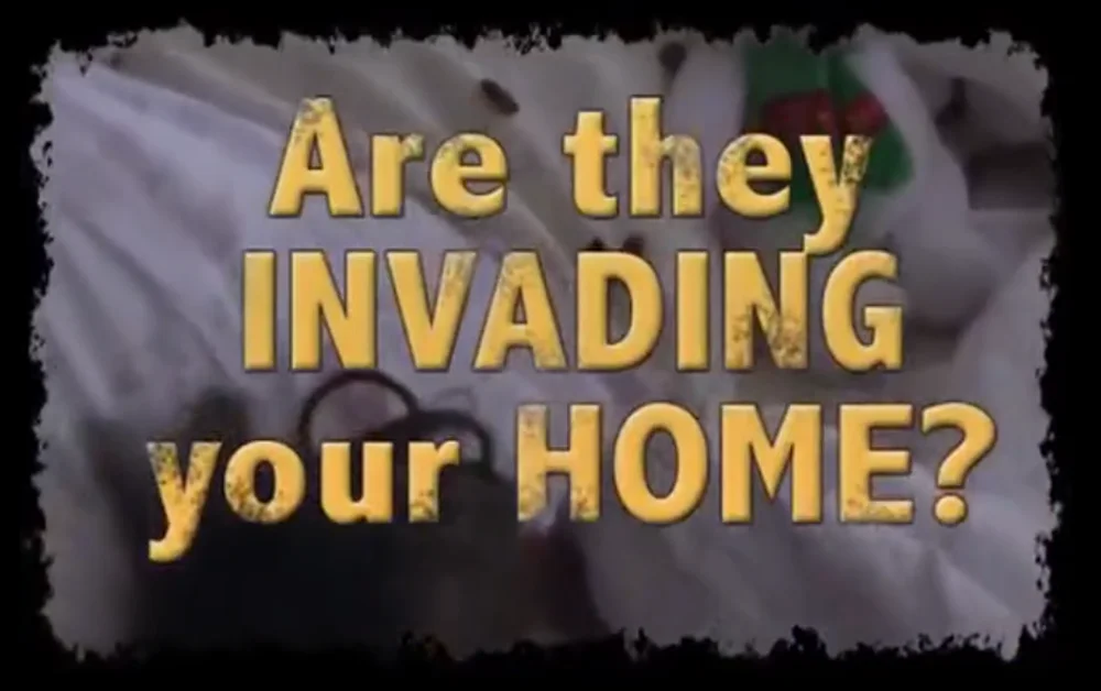 微信截图_20200802110941