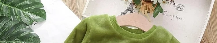 Autumn Winter Children's Clothing Suits Baby Girl Clothes Baby Boy Clothes Plush Long-sleeved Top and Pants Boys Clothes Autumn Winter Children's Clothing Suits Baby Girl Clothes Baby Boy Clothes Plush Long-sleeved Top and Pants Boys Clothes