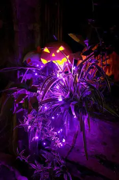

2M 20LEDs String Light Purple Lamp for Outdoor Garden Decor Battery Powered