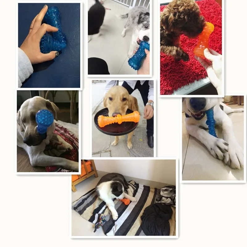 

Pet toy TPR material safety non-toxic bite dog bone rubber pet chewing cleaning oral toys pet supplies