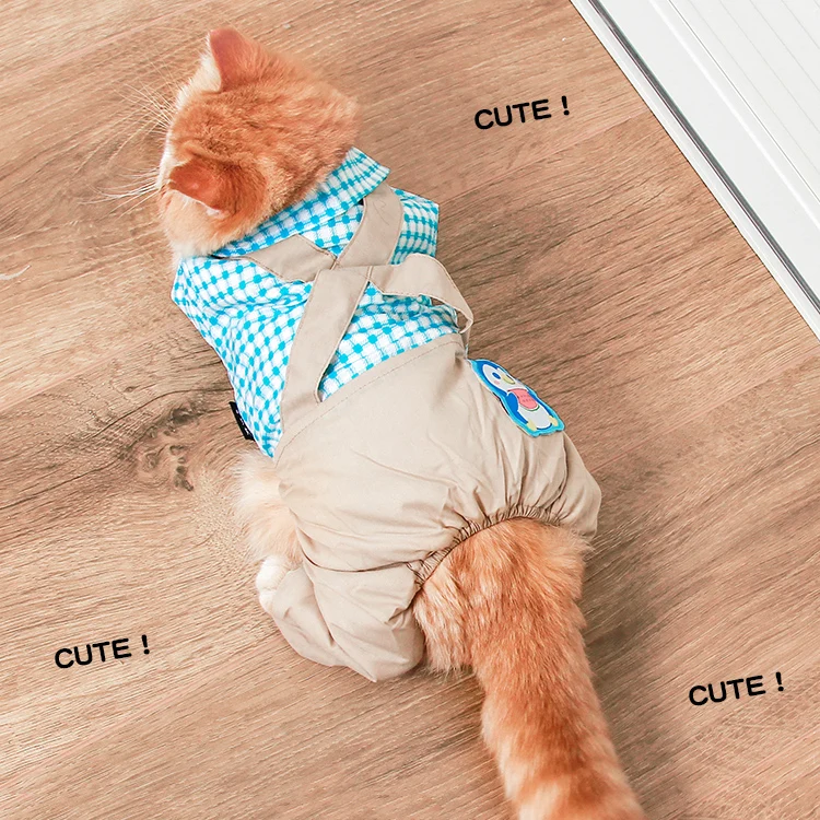 O1CN01JcvoxQ1R01cj4XmYN_!!273292048