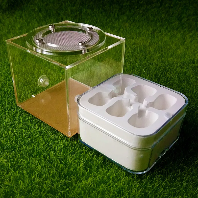 Plaster Ant Nest Acrylic Ant Farm Ants Queen House Insect Cage Anthills Pet Ant House Granja De Hormigas Hormiguero (12)