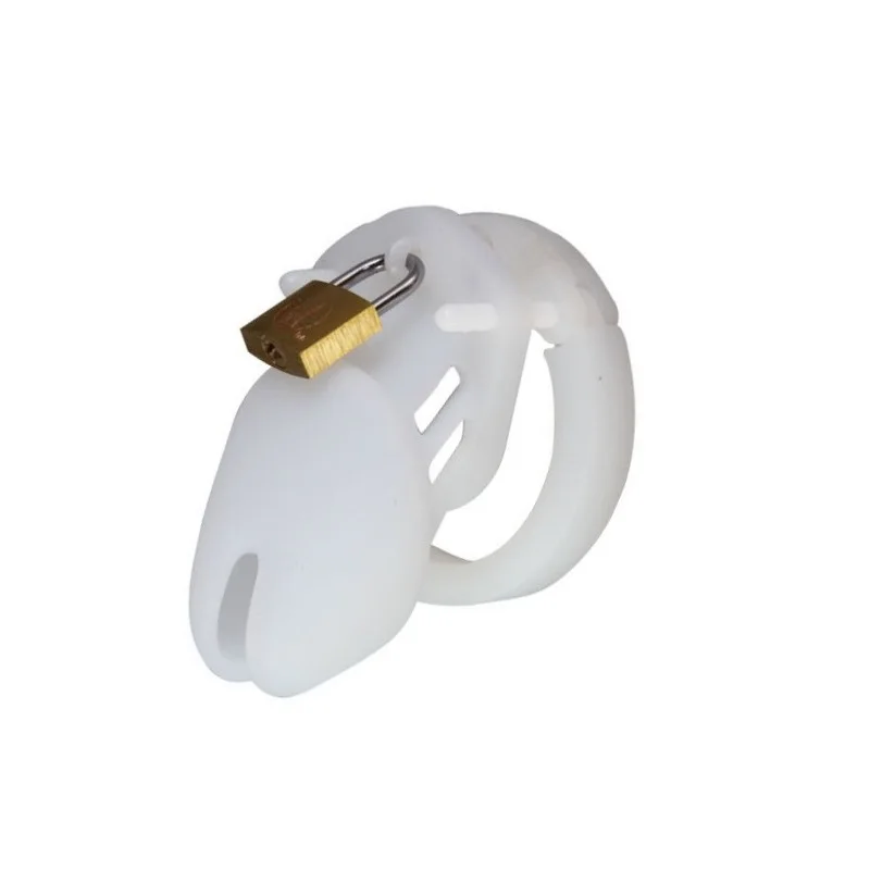 8876922977_1018510090