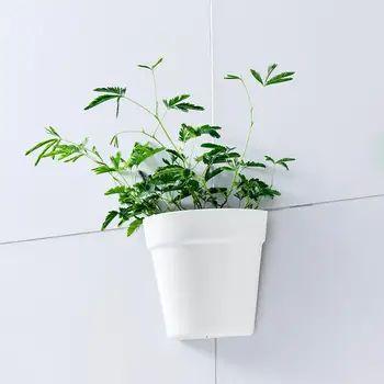 

Wall Hanging Planter Beautiful Durable Wall-mounted Flower Pot Plant Vase Hanger For Home Office