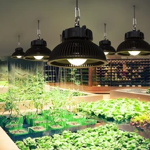 Full Spectrum Hydroponics LED Grow Light 285W 3500K Lumens CXM32 COB LED Plant Growing Lamp For Indoor Greenhouse Plants Growth