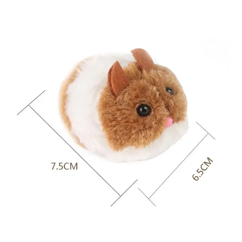 11678360606_156452083.640x640