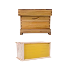 Вощеный одноуровневый улей и 5 шт. в раме, пчеловодные основы, сотовые инструменты для пчеловодства, Apis mellifera Apis cerana, нестандартный размер