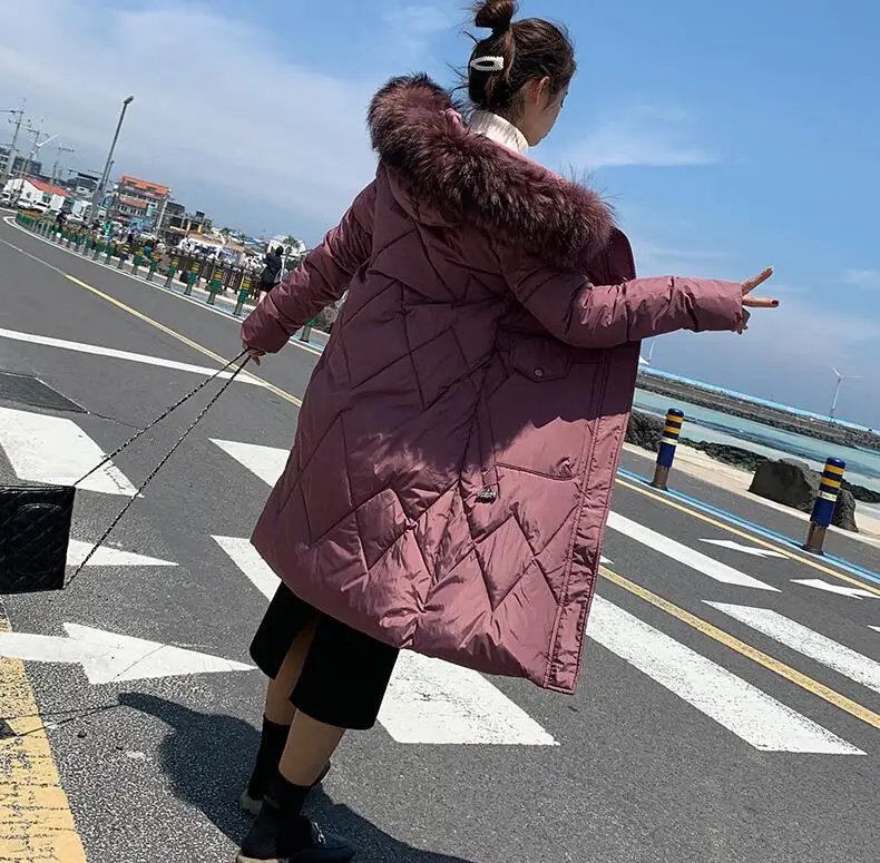 Winter Jacket Women Parkas for Coat Fashion Female Down Jacket With a Hood Large Faux Fur Collar Coat Autumn high quality - Цвет: Фиолетовый