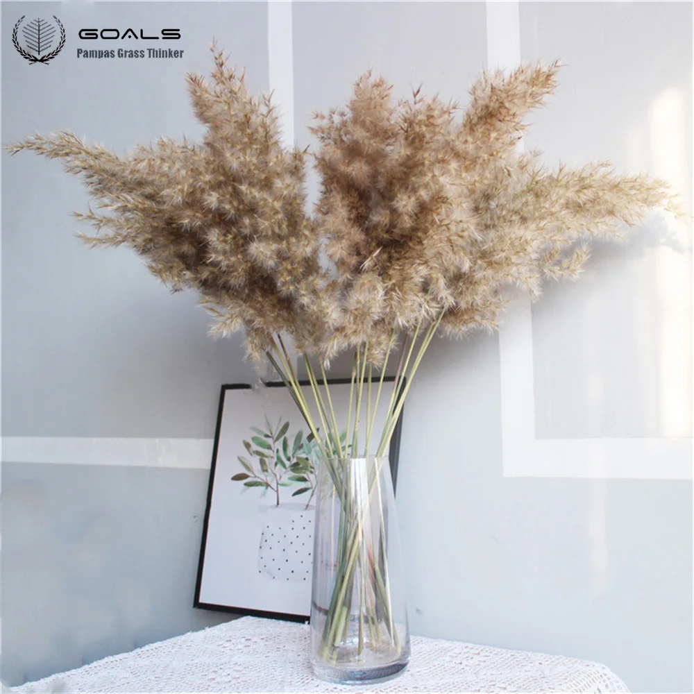 Details about   16pcs Large Natural Dried Pampas Grass Reed Home Wedding Bouquet Bunch Decor 