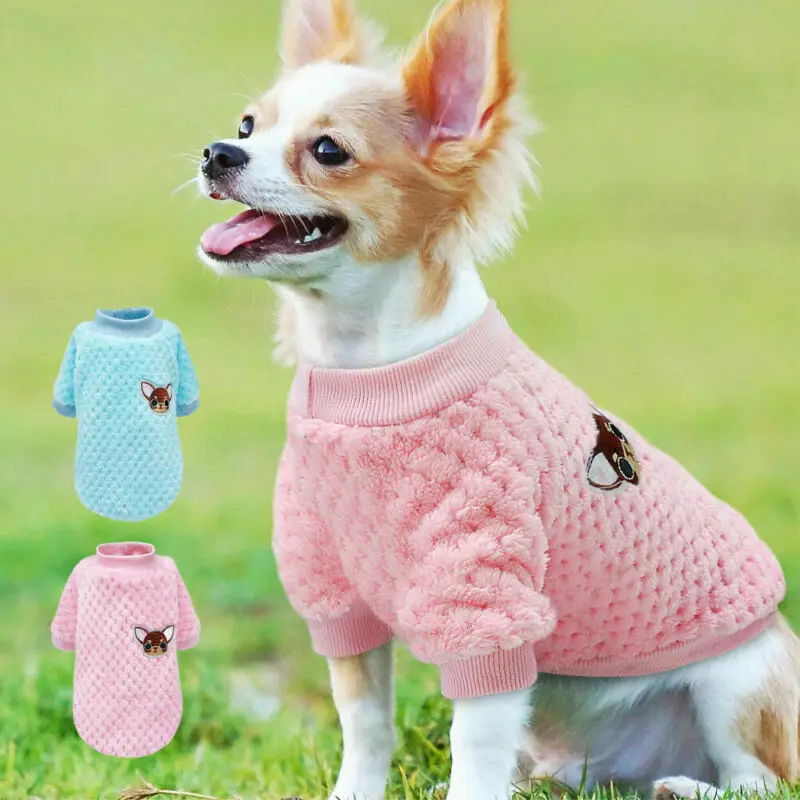 chihuahua dog costumes