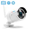Video Surveillance