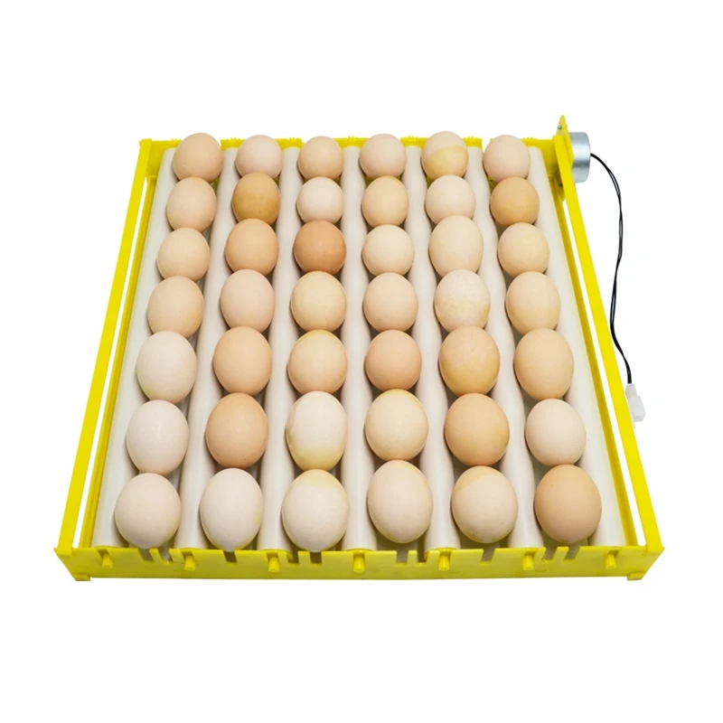 Tray Incubator Farm-Incubation-Tool-Supplies Egg-Turner-Roller Hatching Automatic Duck-Quail-Bird