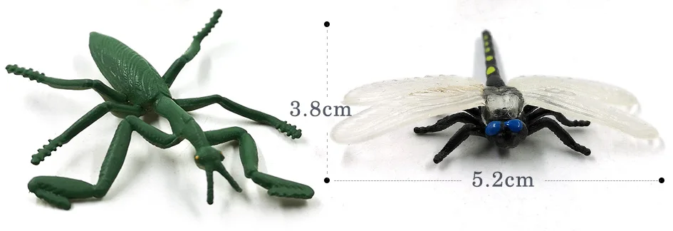 详情页-12款-小昆虫动物等_08