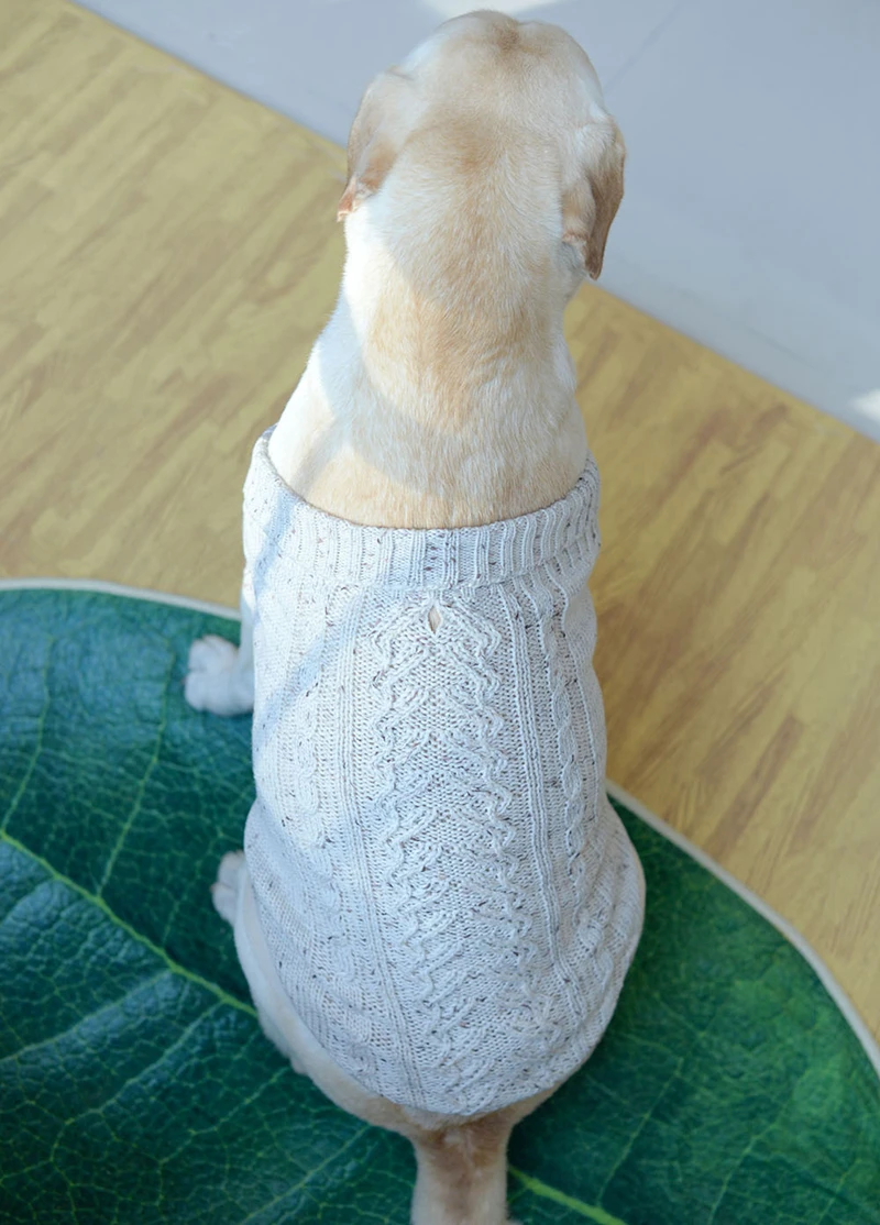 HTB1uMwhSCzqK1RjSZFHq6z3CpXas