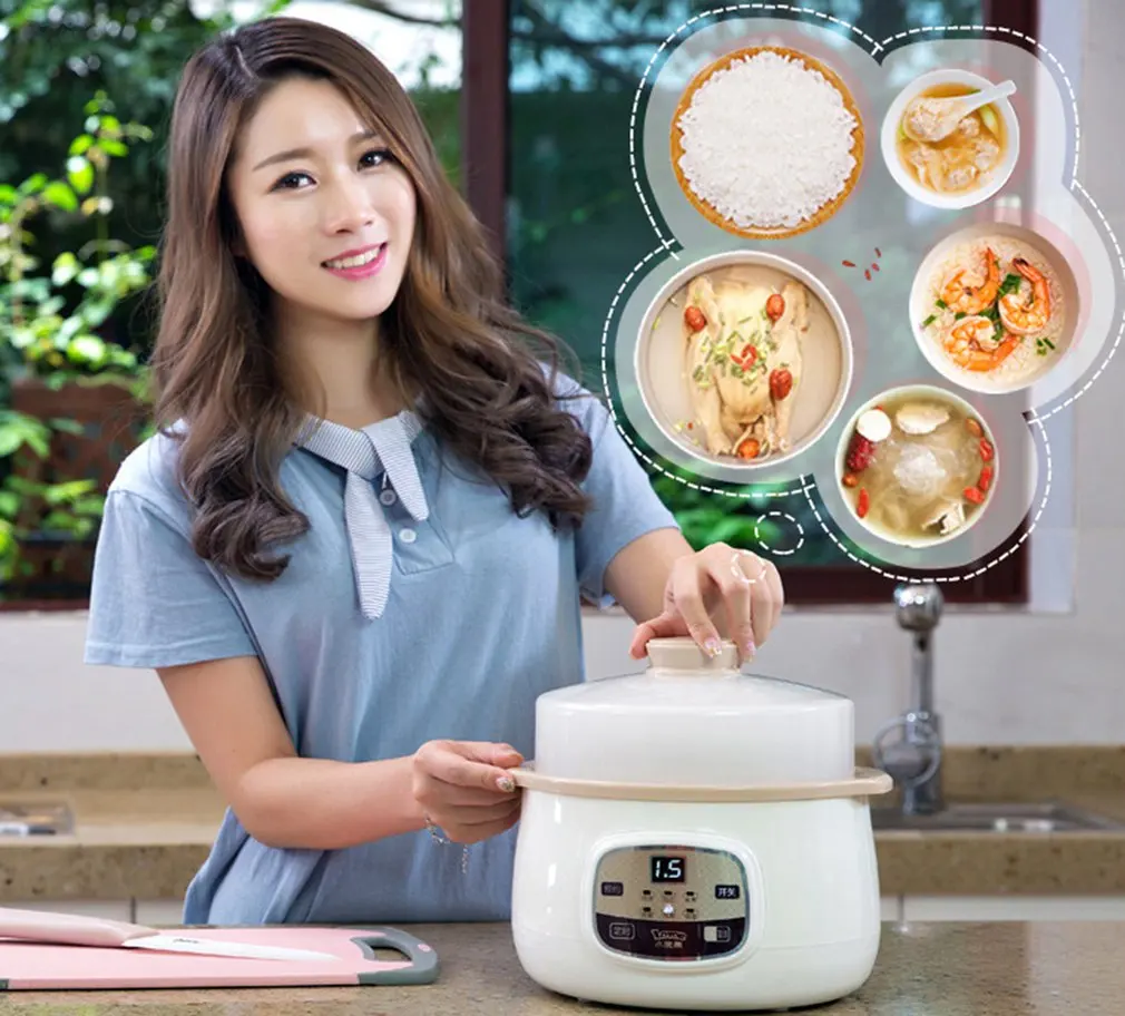 Fully Automatic PP & Ceramic Electric Multifunction Cooked Boiled Braised Stewed Steamed Cooker Steamer Home