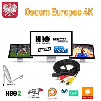 

2020 Cccam Europa Oscam Europea Portugal Germany Spain 8CLineS 4k Poland Italia For Enigma 2 Receptor ClineaS Server