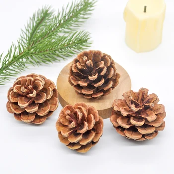 

6Pcs Natural Dried Pinecone Christmas Tree Holiday Party Decoration Christmas Topper New Year Vase Filler Home Decoration