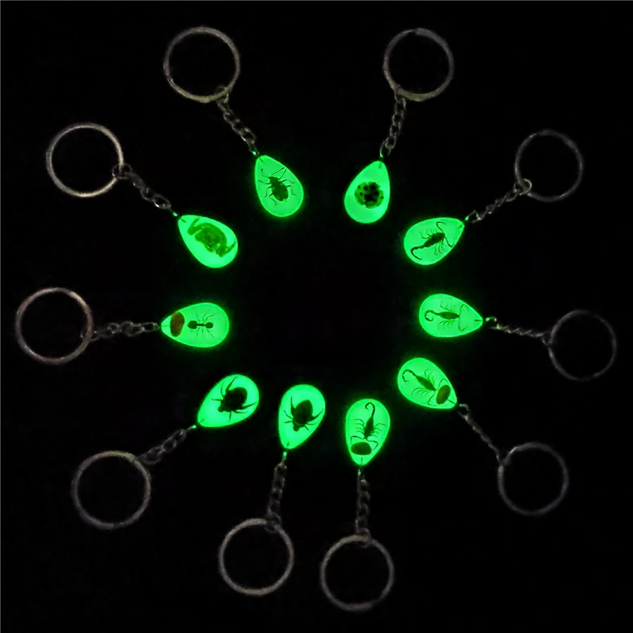 10pcs Scorpion Crab Keychain Glow in the Dark Real Insect Keychain Beetle Keychains for MenKey Ring Specimens Collecting Trinket