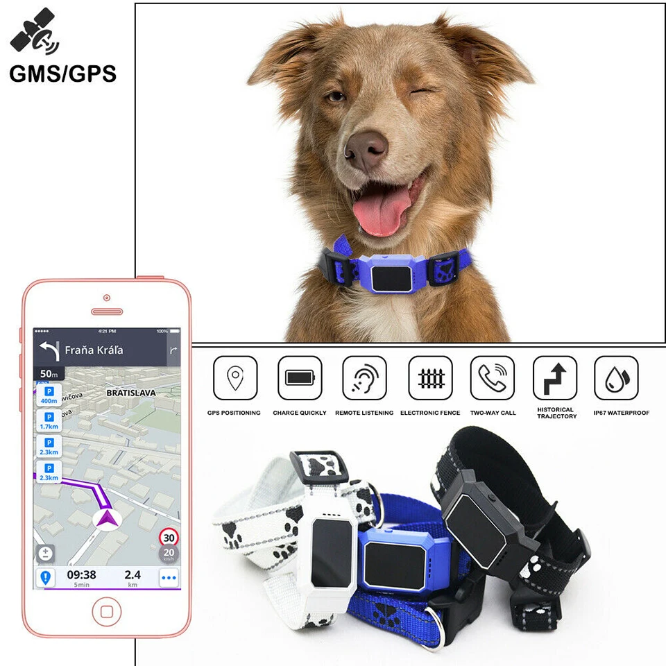 Pet finder. Трекер для животных geozon Pet Finder. Dog Locator Collar GPS. GPS для собак.