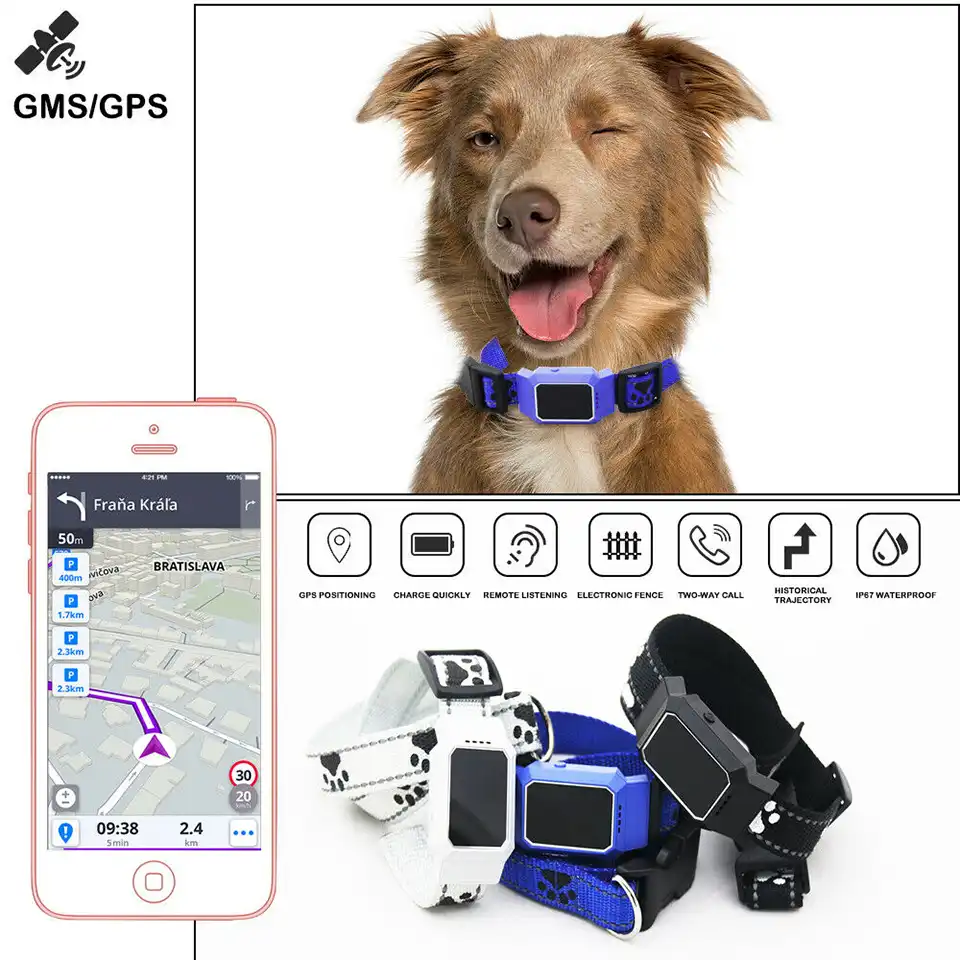 Ip67 Pet Kopek Kedi Tasma Gps Gsm Gprs Takip Cihazi Arayan Bulucu Gercek Zamanli App Bulucu Gps Trackers Aliexpress