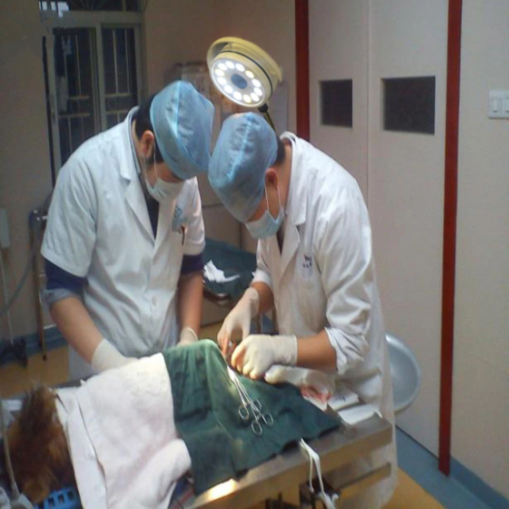 Móvel de Led Cirúrgica sem Sombra Exame Médico Cirúrgico Lâmpada Tatuagem Odontológica Veterinária Kd-2012d-3 36w 7 Clareamento dos dentes