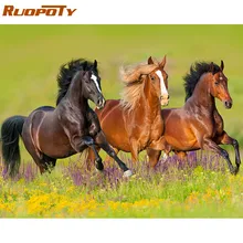 Ruopoty 60x75cm marco Diy pintura por números Kit caballo colorear por números arte moderno cuadro por números para decoración del hogar(China)