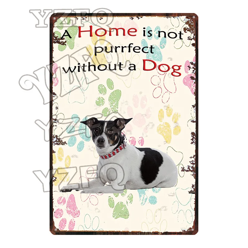 Warning Beware Attack Cat Watch Dog on Duty Pet Metal Plate Wall Pub Restaurant Home Art Decor Iron Poster Cuadros DC-5483A - Цвет: DC-5499