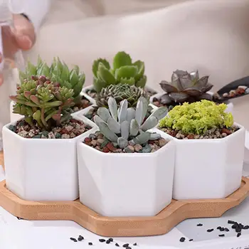 

New Hexagonal Ceramic Succulent Plant Flower Pot Garden Planter Bamboo Tray Holder