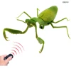 EBOYU RC Praying Mantis IR Remote Control Animal Toy Fake Car Vehicle Electric for Kids Birthday Christmas Gfits 1
