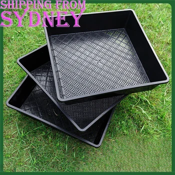 

42x42x5.5cm 10pcs Seedling Tray Fine Holes Plant Propagation Seedling Hydroponic Plant Growing Trays Nursery Holder Plate Start