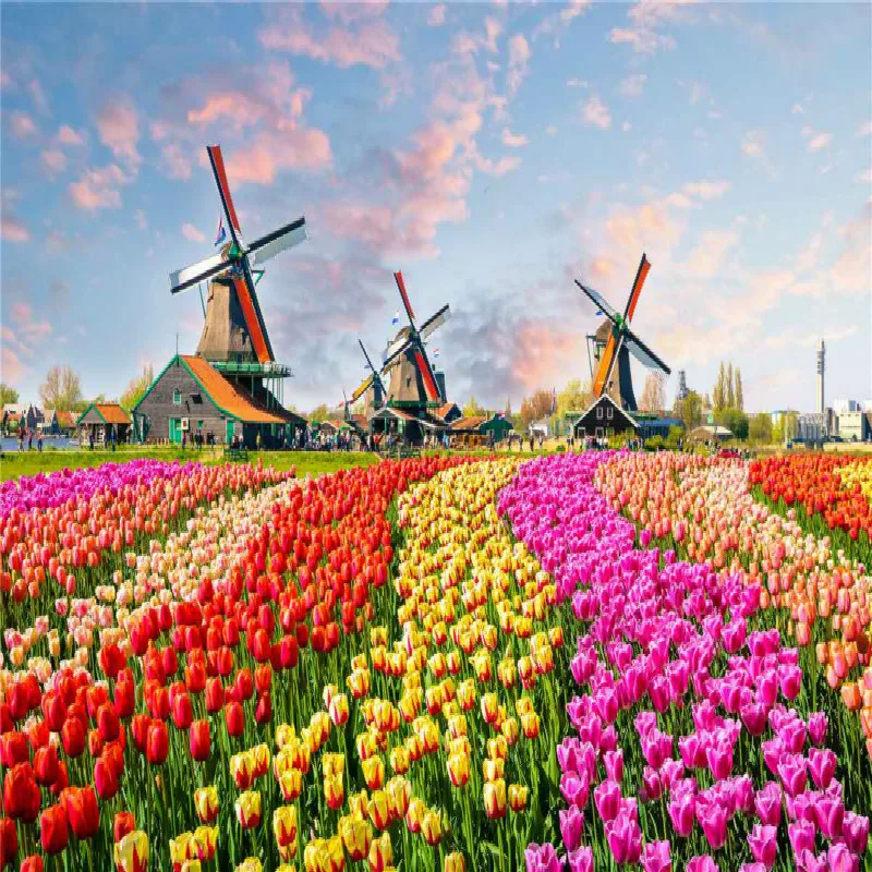 500 Pieces Jigsaw Puzzle Various Landscape Patterns Jigsaw Puzzle Educational Toy for Kids Children 's Games Christmas Gift 29
