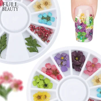 

Mixed Natural Nail Dried Flower DIY 3D Pressed Blossom Flower Leaf Slider Sticker Polish Manicure Nail Art Decorations CHXHD-1