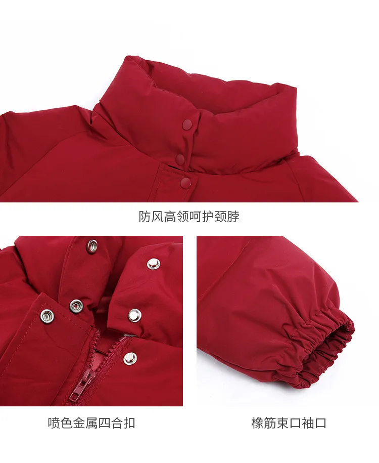 Плотная зимняя одежда, Женское пальто на молнии, новинка, Ropa De Invierno Para Mujer Abrigos Mujer Invierno, воротник-стойка, черный