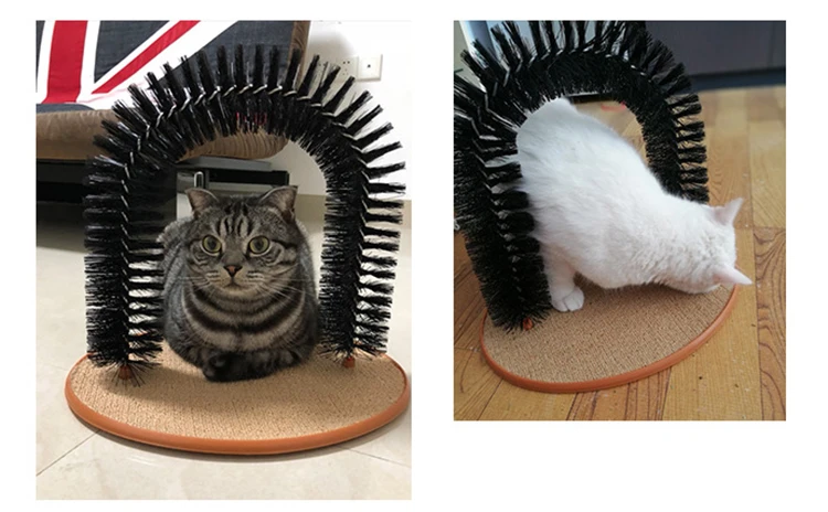 8895394880_973676538